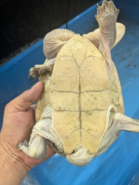 PXL_20240926_091832363