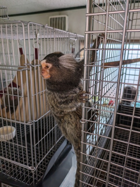 PXL_20240511_033319694