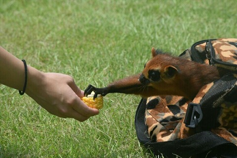 [画像:cf3794bb-s.jpg]