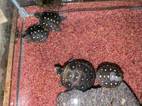 PXL_20240927_094121880