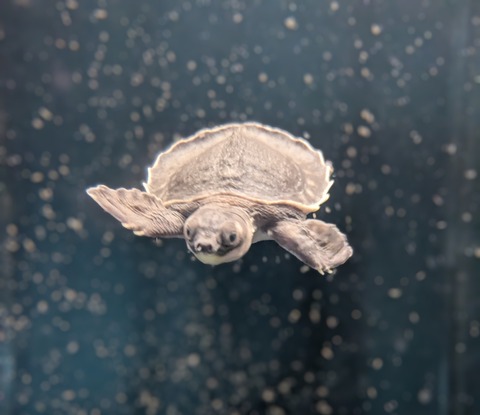 PXL_20250517_042932360~2