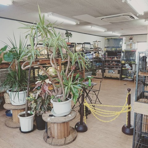 IMG_20180803_140117_059