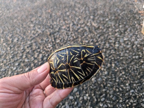 PXL_20240930_082532420