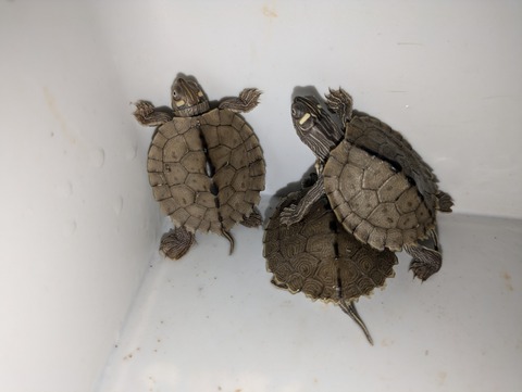 PXL_20240926_094935045