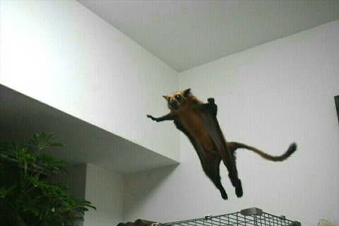 [画像:d5627673-s.jpg]