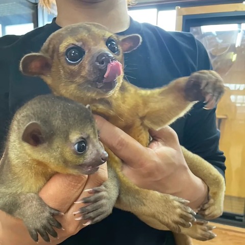 IMG_20240501_141210_169