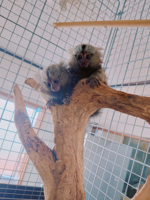 SNOW_20230919_233512_746