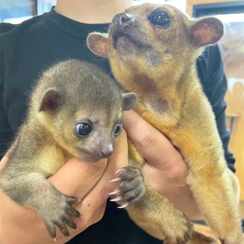 IMG_20240501_141210_189