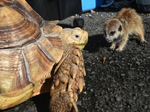 IMG_20200227_162940_996