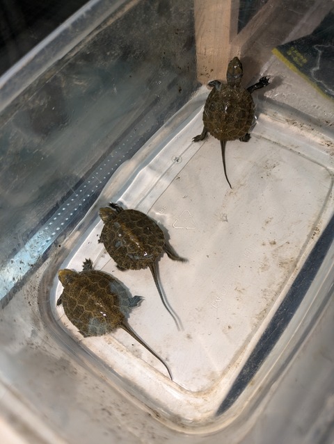 PXL_20240829_005100102