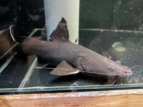 PXL_20241127_091338826