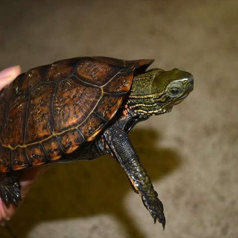 IMG_20191221_232048_594