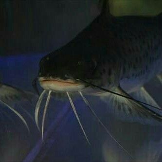 IMG_20170629_120753_184