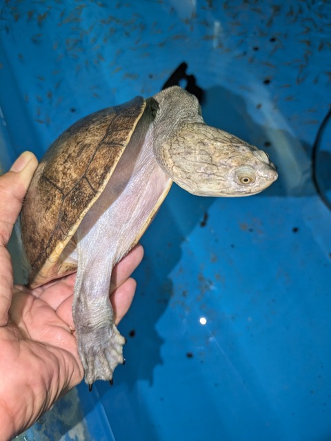 PXL_20240926_094519223