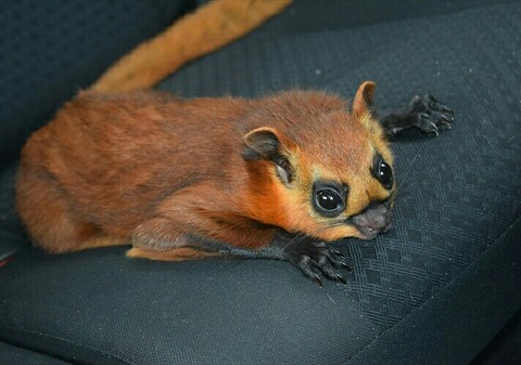 [画像:efcef14e-s.jpg]