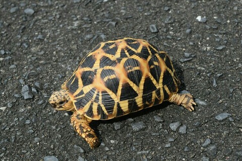 [画像:f6f10f12-s.jpg]