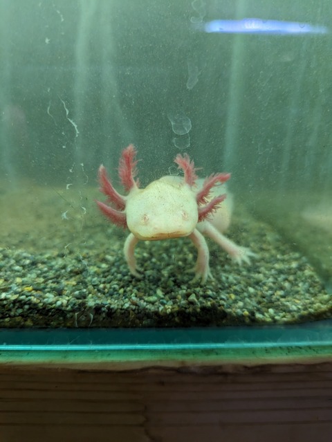 PXL_20240614_084942516