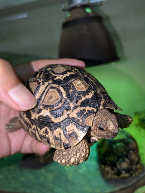 PXL_20240714_063801230