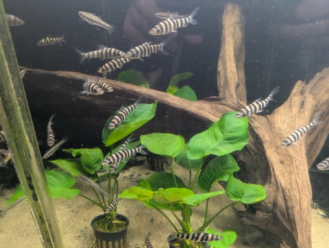 PXL_20241127_040816071