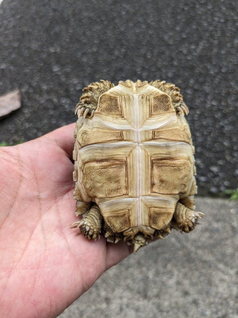 PXL_20240614_070611706