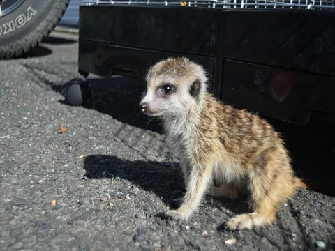 IMG_20200227_162941_004