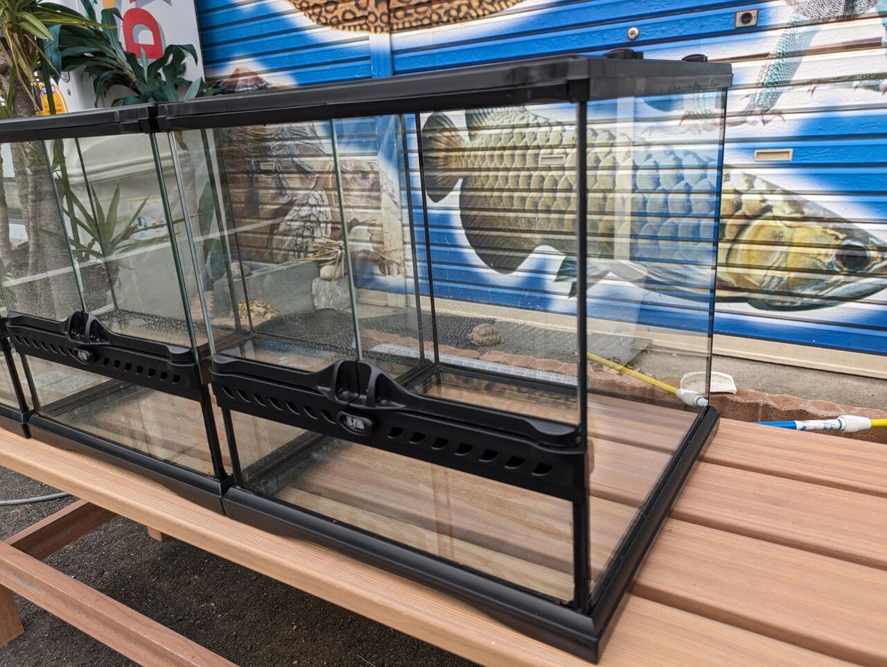 グラステラリウム3030中古 : Rio日記