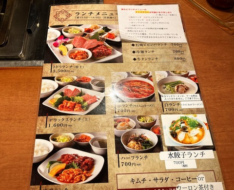 冷麺と焼肉トトリ (2)