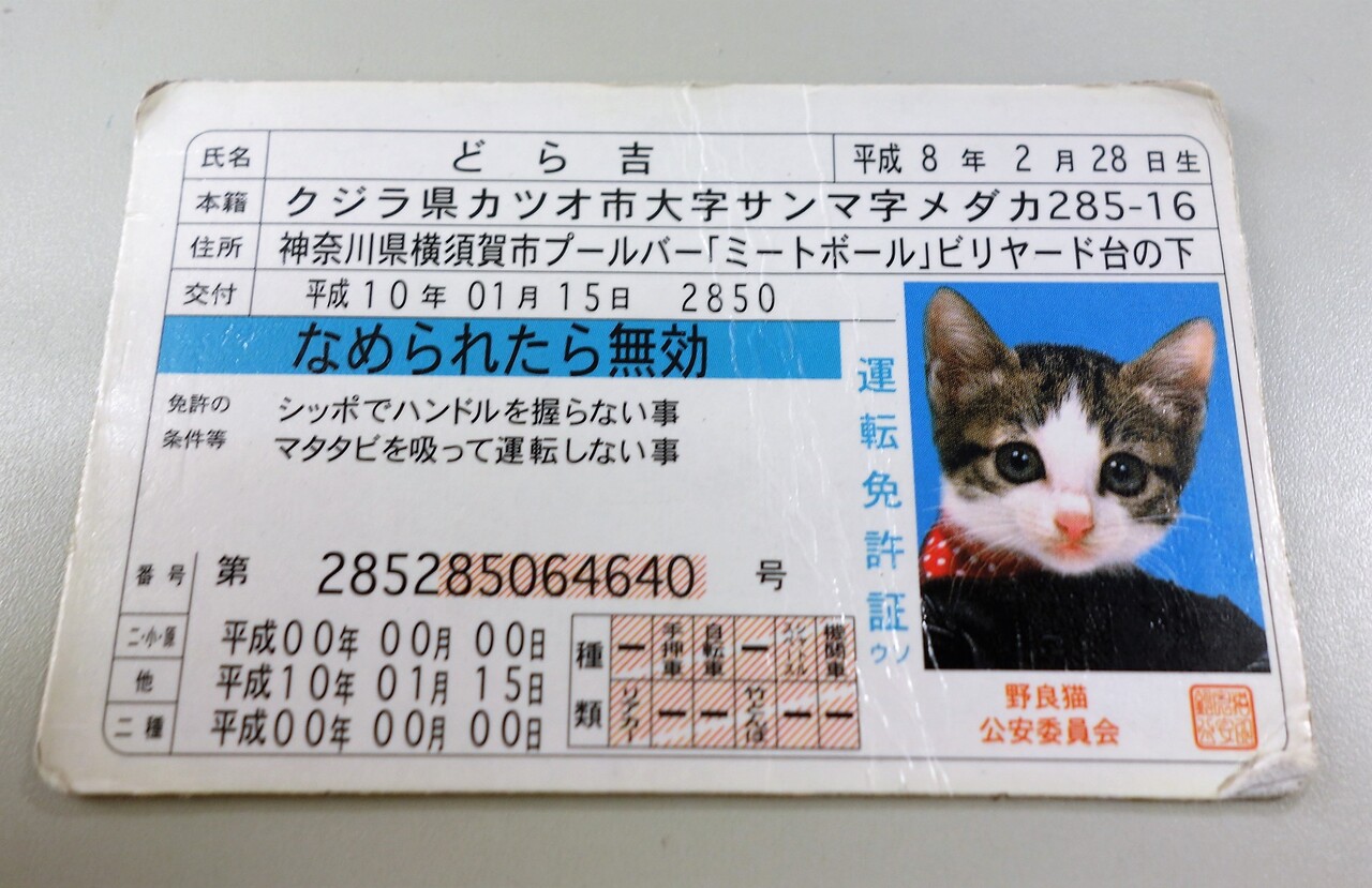 運転免許更新のあとは 札幌運転免許試験場横 定食処 櫻茶屋 さんでいわゆるトンテキの 免許更新定食 かみふらのポークがめちゃくちゃ柔らかくてうまい Rubis Life 運転免許更新のあとは 札幌運転免許試験場横 定食処 櫻茶屋 さんでいわゆるトンテキの 免許更新定食 かみふらのポークがめちゃくちゃ柔らかくてうまい Rubis Life