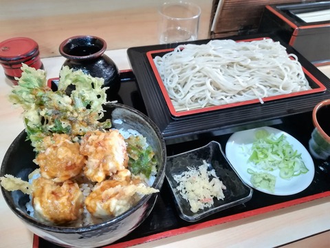 磯切更科そば (2)