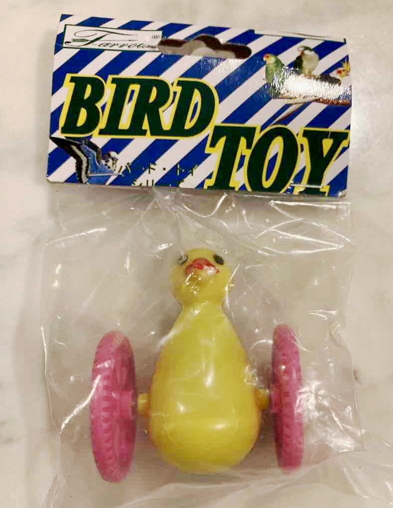 バードトイ ゴーゴーペンギン きいろちゃん に絡みまくる おしゃべりセキセイインコのアミィさん 動画あり Rubis Life