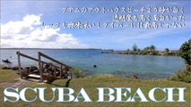 ¥Ó¡¼¥Á.001