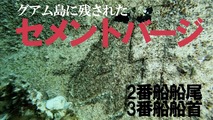 2.7
