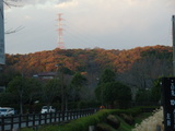 紅葉