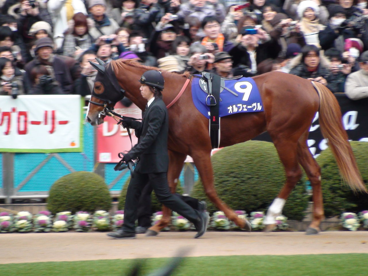 競馬ポスターB1：オルフェーブル 「2012年 第57回 有馬記念」