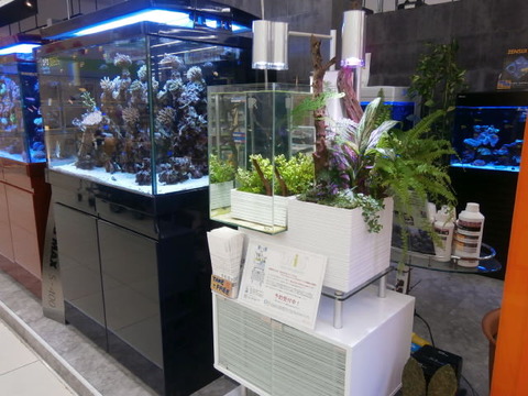 ハートスタッフｂｌｏｇ 15年02月