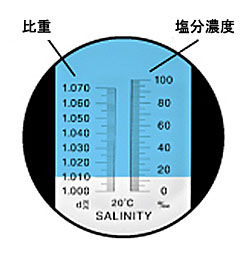 海水 塩分 濃度