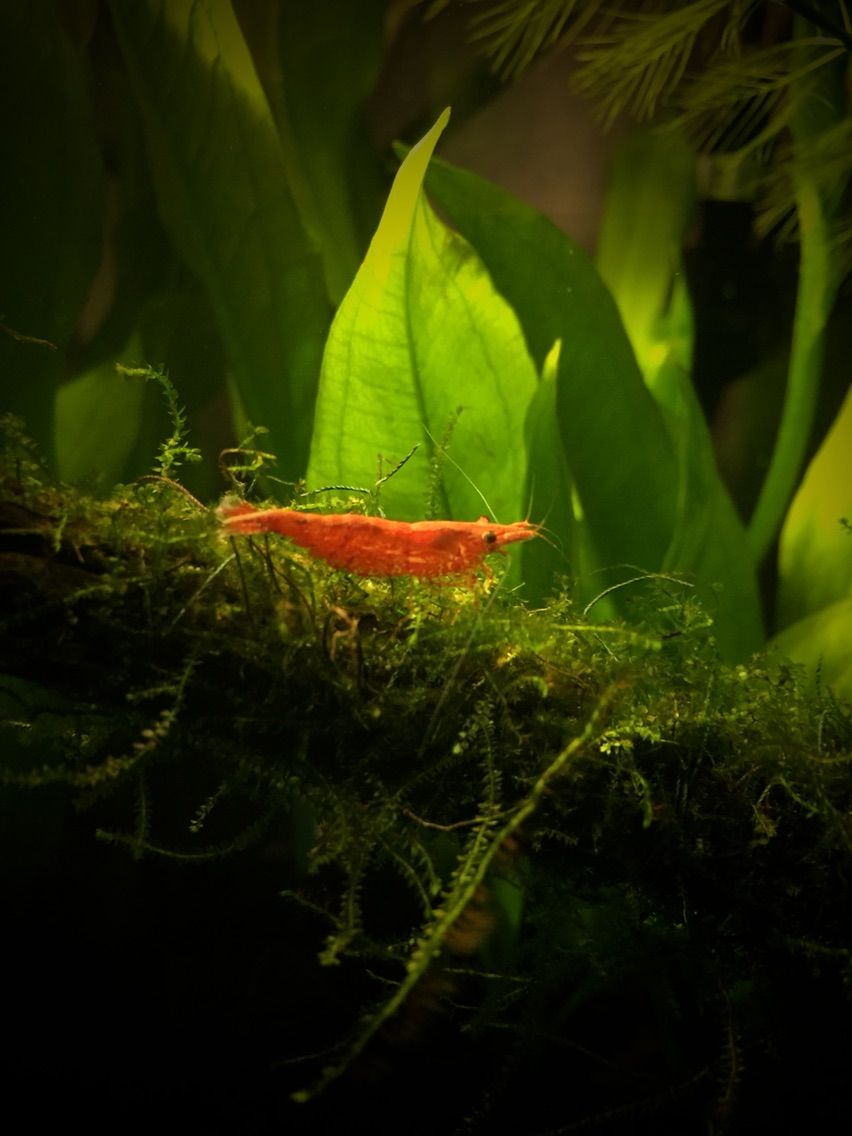 触覚コミュニケーション アクアギタリストの日々 触覚コミュニケーション アクアギタリストの日々