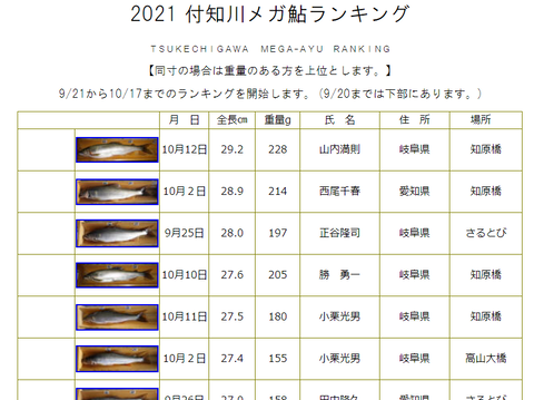 スクリーンショット (31)