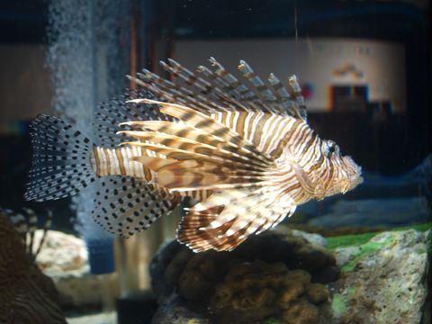37e95bfa.jpg
