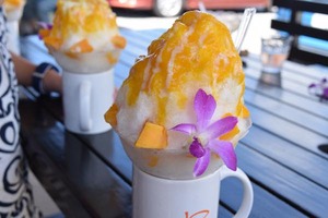 th_DSC_0231