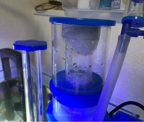 nano Skimmer 3日目の様子