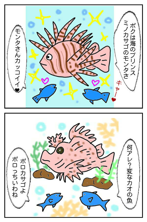 122.ボロい魚？！