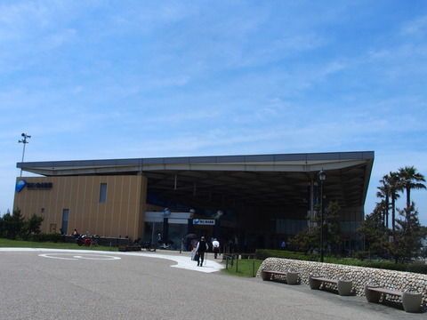 新江の島水族館に行ってきた！