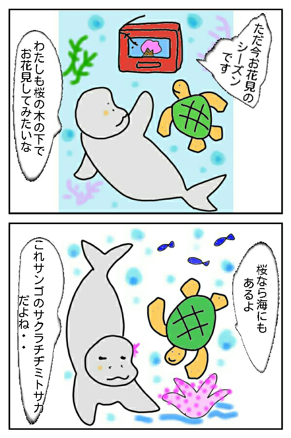 155.海でお花見✿