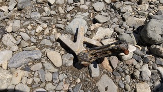 20230604おそうじ隊4