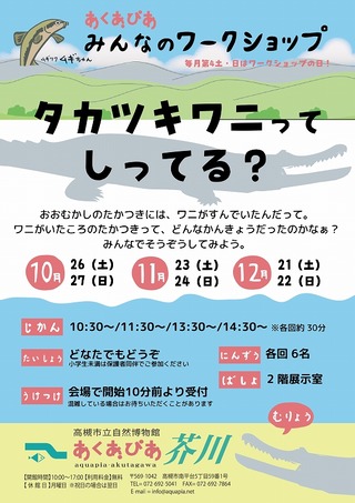 タカツキワニWS_ポスター