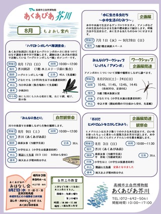 2025年8月