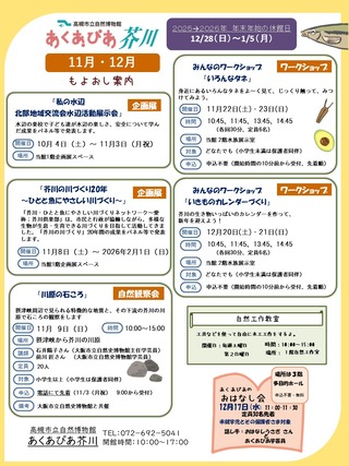2025年11-12月