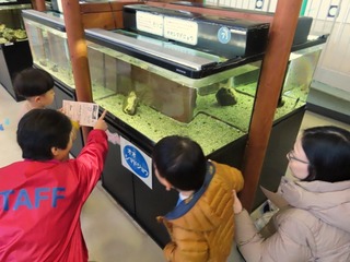 s-観る_IMG_4617-2