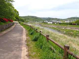 P4220286